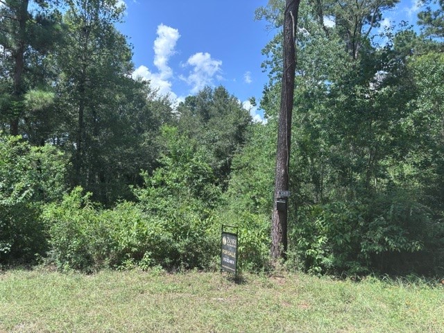 30651 S Walnut Creek Drive Property Photo 1
