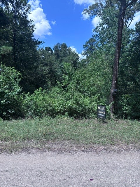 30651 S Walnut Creek Drive Property Photo 2