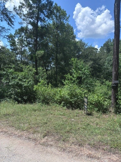 30651 S Walnut Creek Drive Property Photo 4