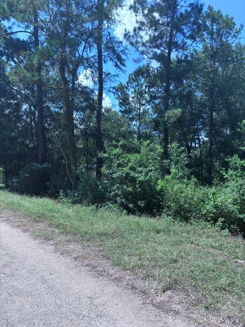 30651 S Walnut Creek Drive Property Photo 5