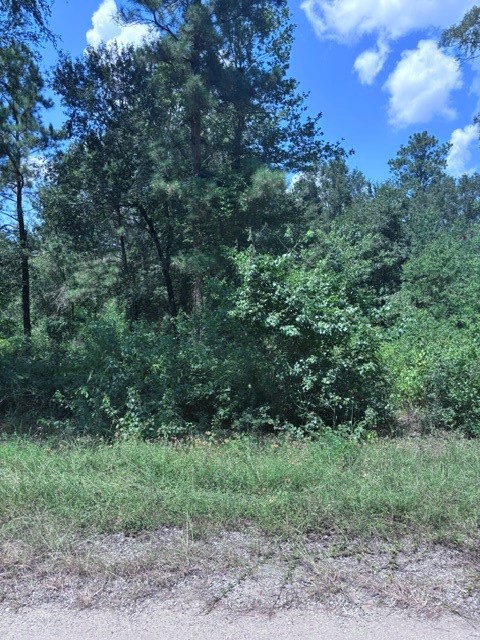 30651 S Walnut Creek Drive Property Photo 6