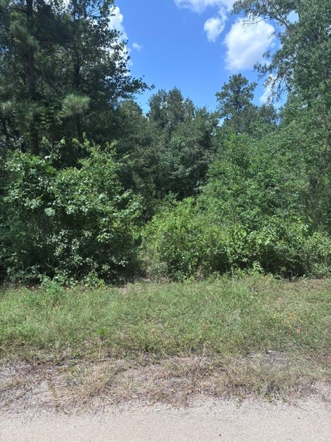 30651 S Walnut Creek Drive Property Photo 7
