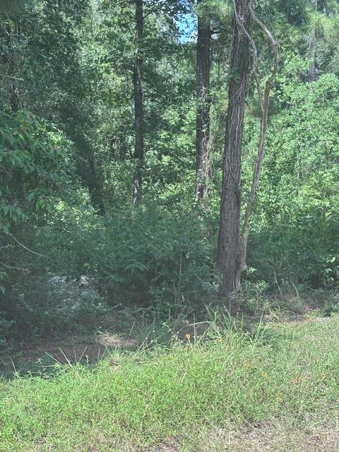 30651 S Walnut Creek Drive Property Photo 8