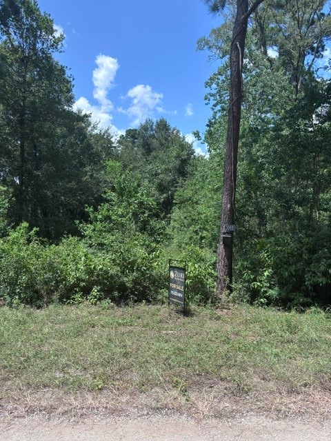 30651 S Walnut Creek Drive Property Photo 9
