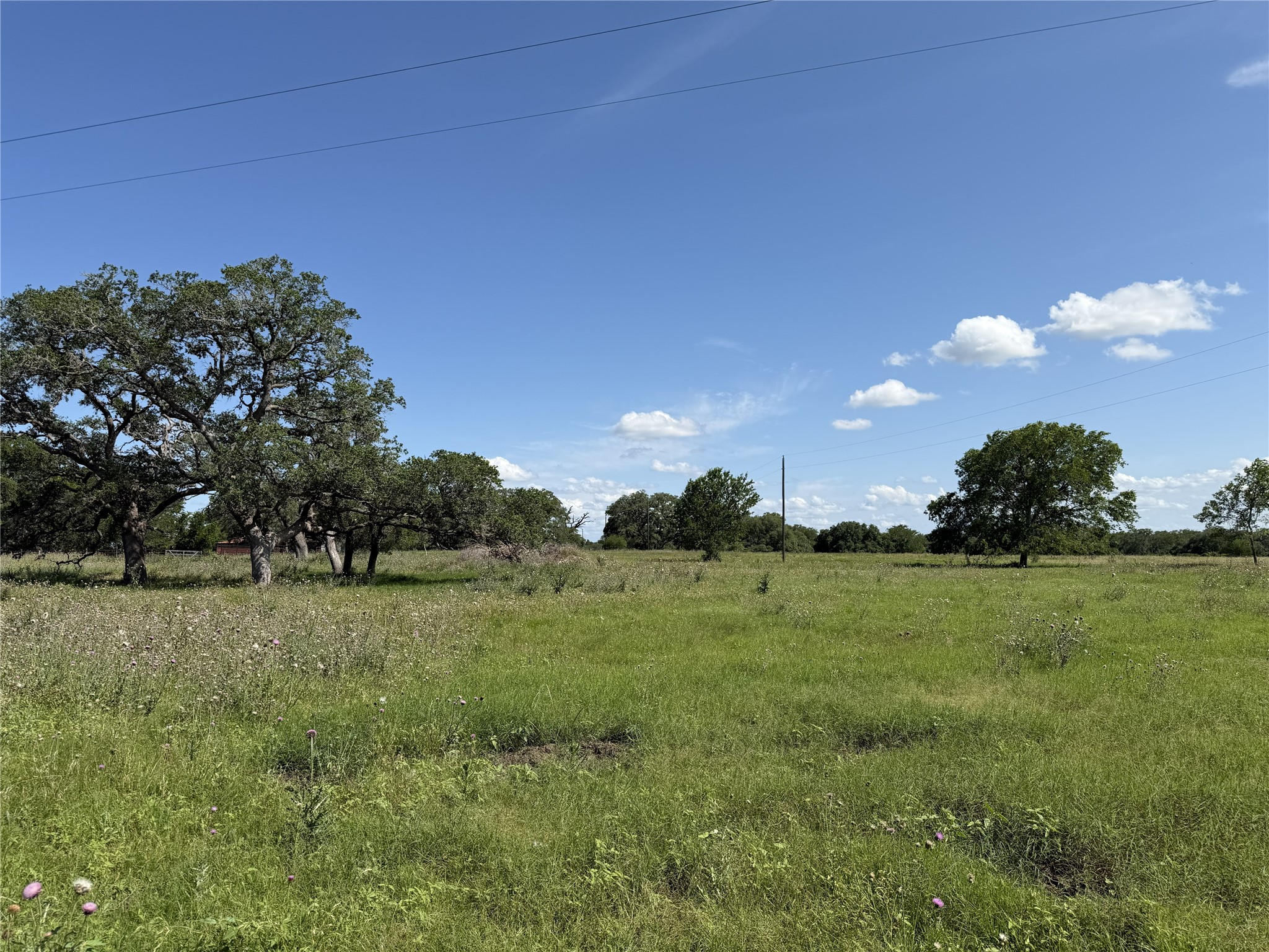 TBD4 Farm To Market Road 532 Property Photo 1