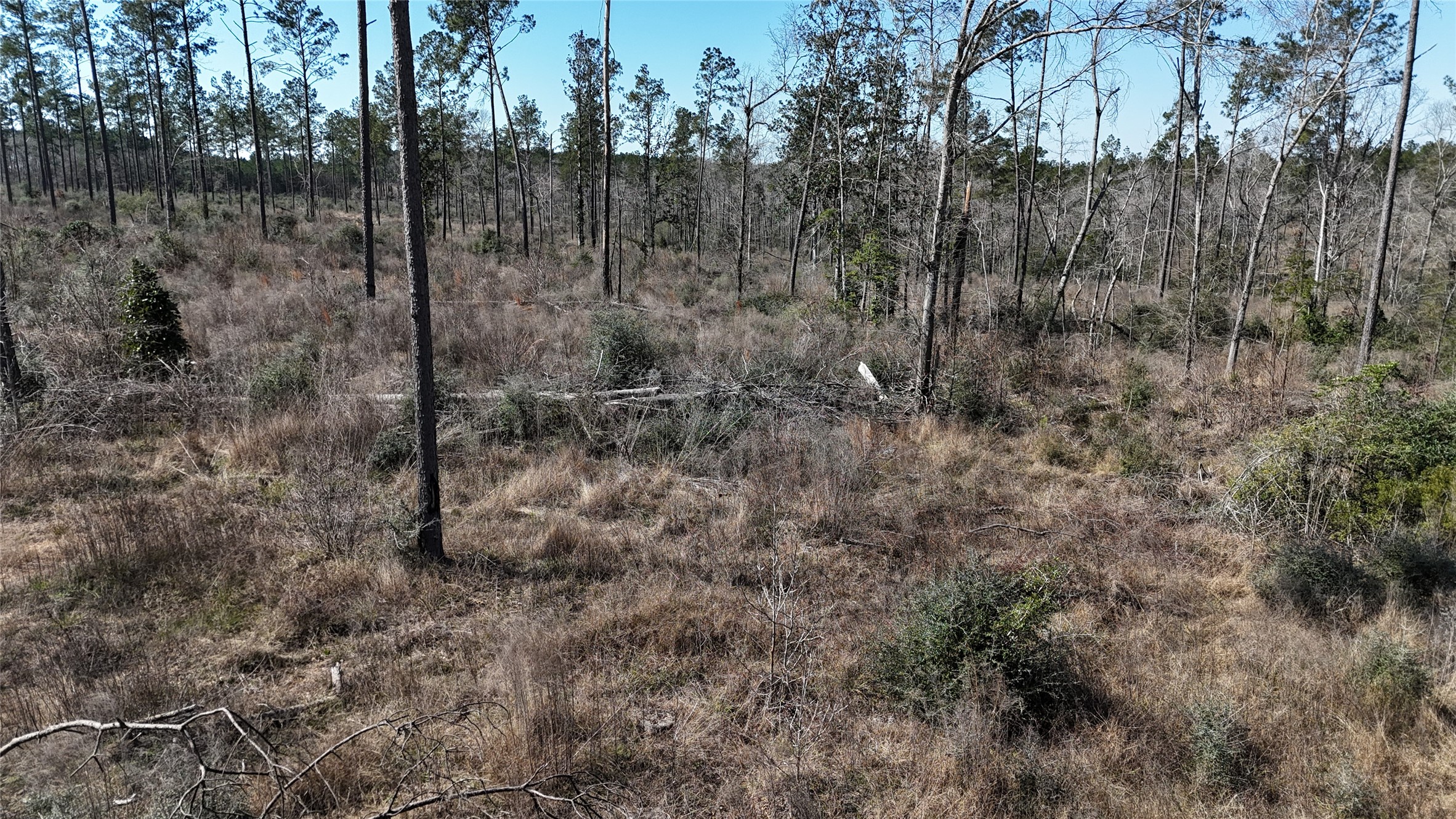 Tbd Reveille Road Property Photo 2