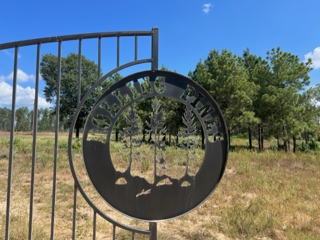 Tbd Reveille Road Property Photo 6