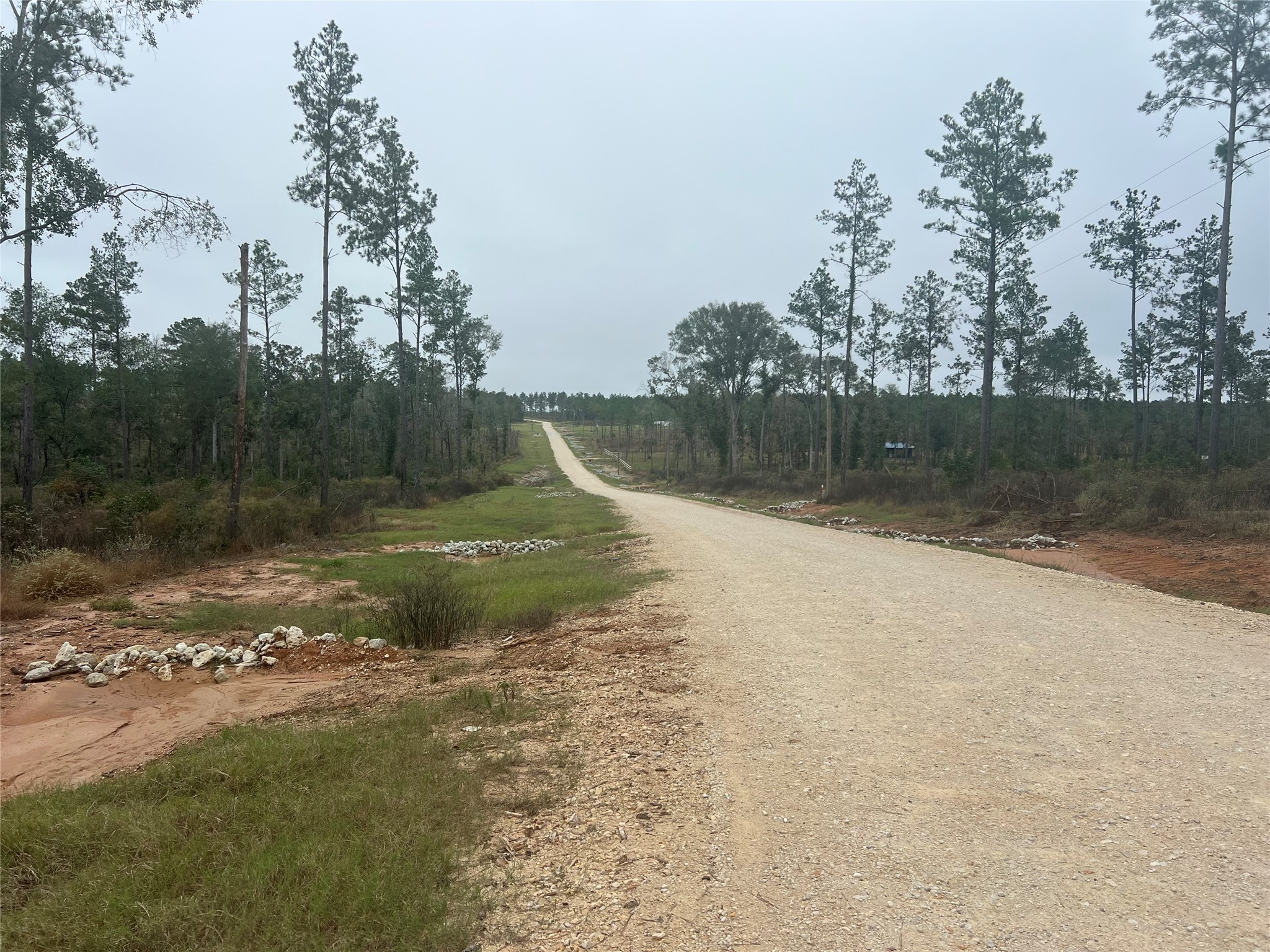 Tbd Reveille Road Property Photo 7