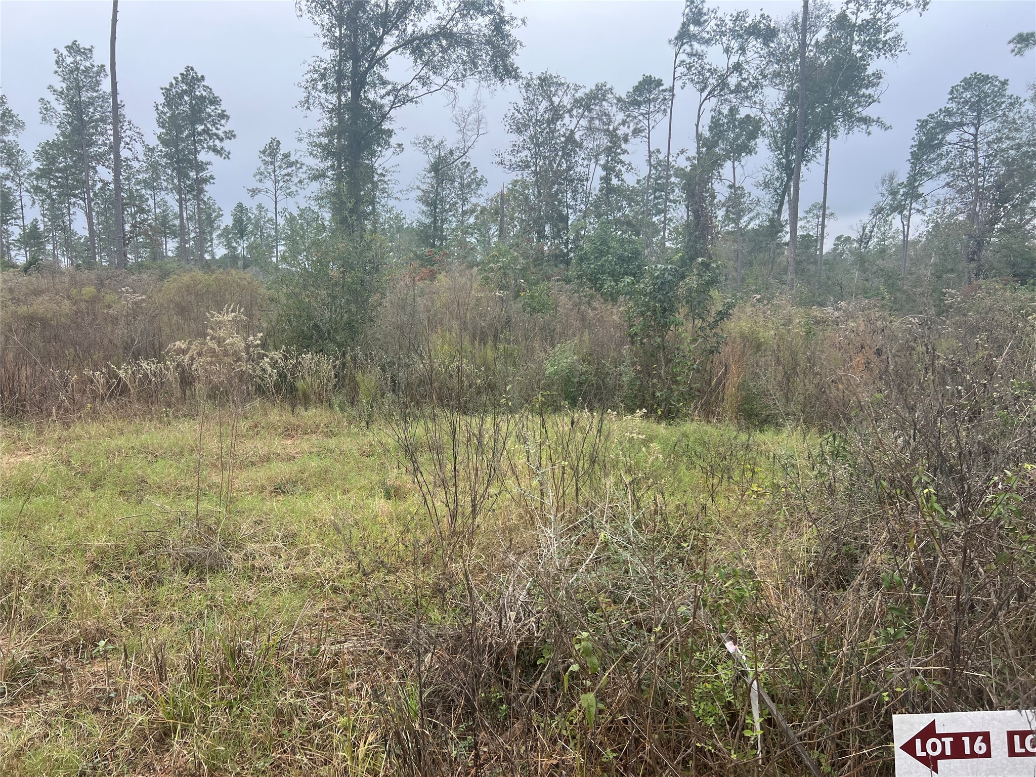 Tbd Reveille Road Property Photo 8