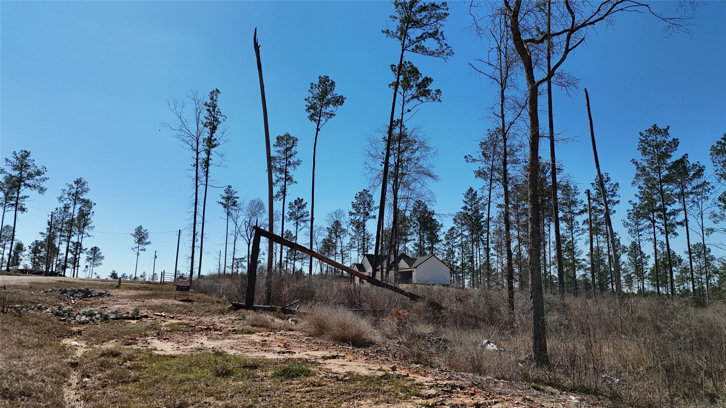 Tbd Reveille Road Property Photo 14