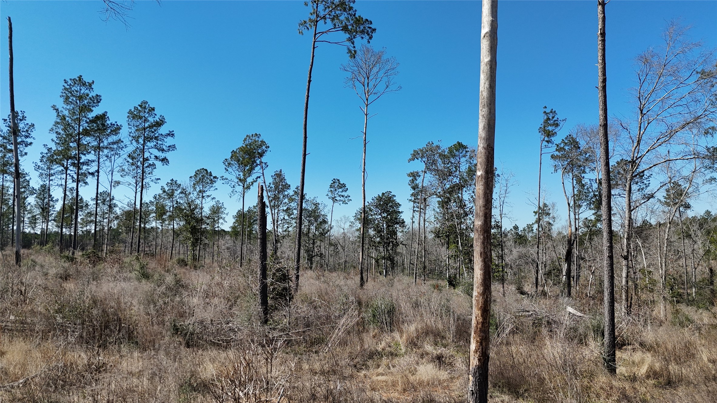 Tbd Reveille Road Property Photo 15