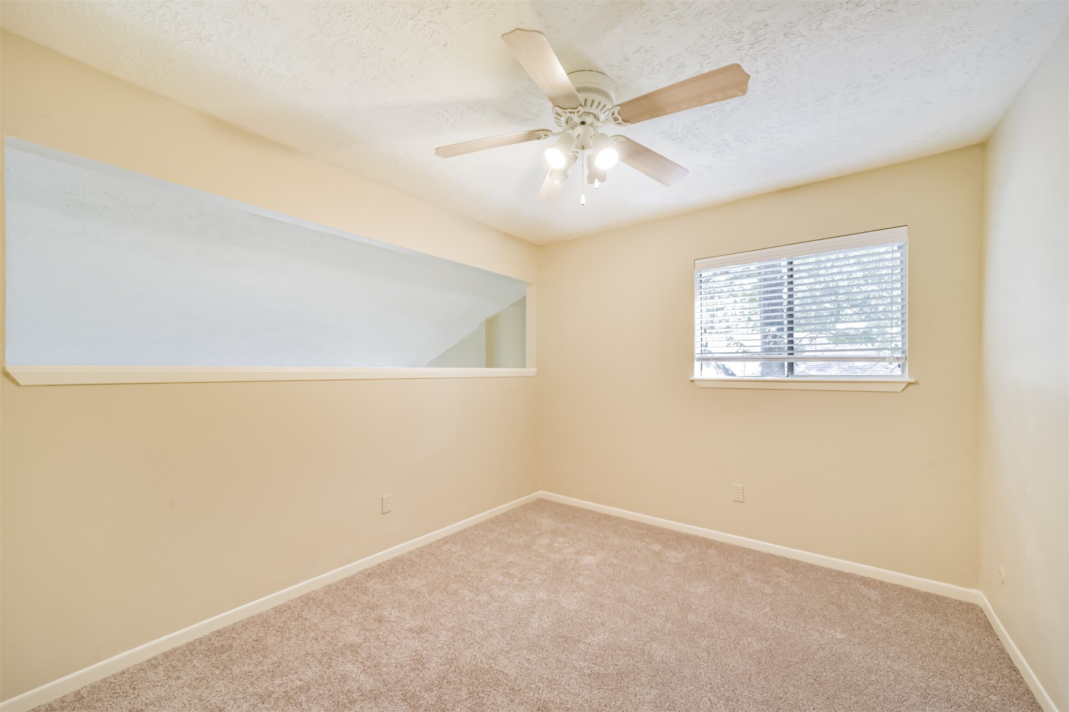 3 Hedgebell Court Property Photo 21