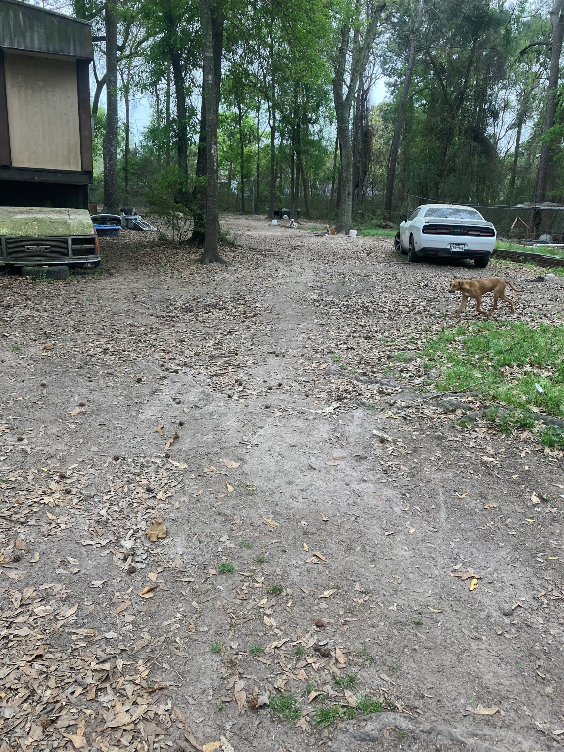 21072 Patricia Lane Property Photo 2