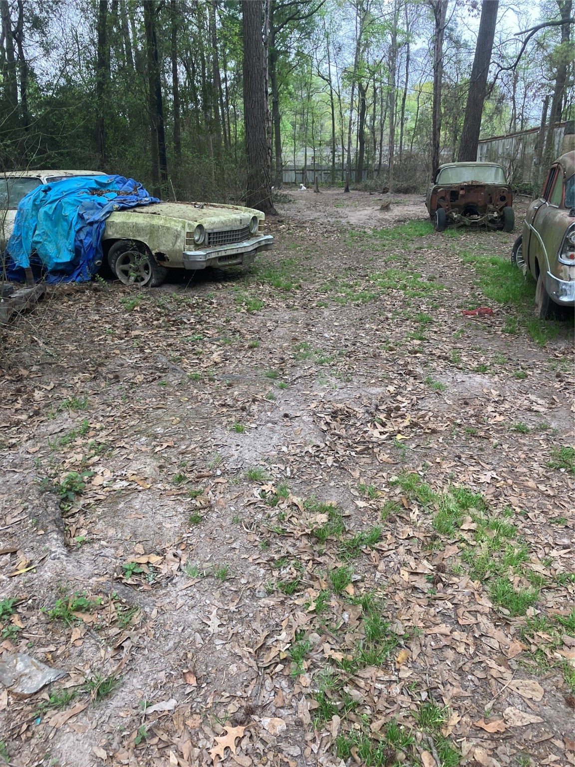 21072 Patricia Lane Property Photo 3