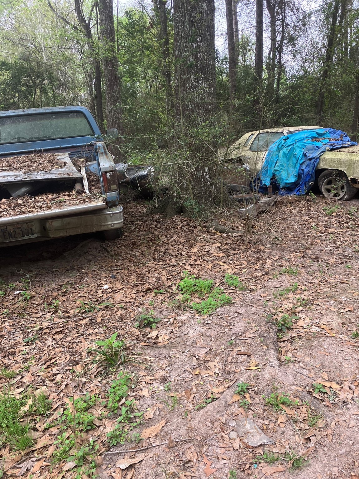 21072 Patricia Lane Property Photo 4