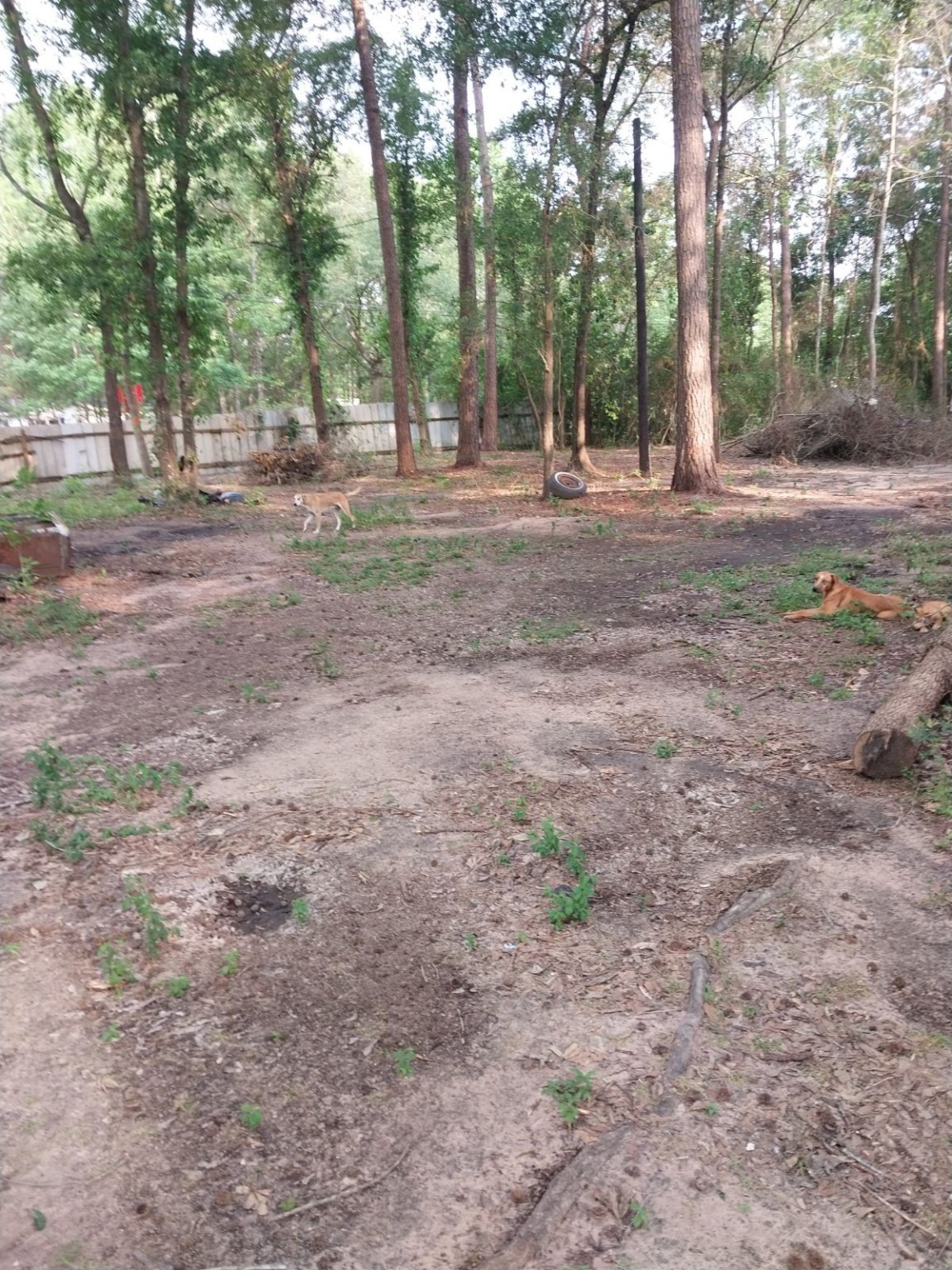 21072 Patricia Lane Property Photo 10