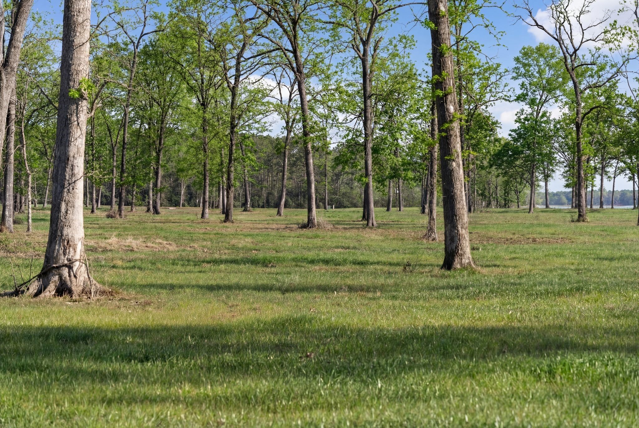 Lot 9 Island View Road Property Photo 19
