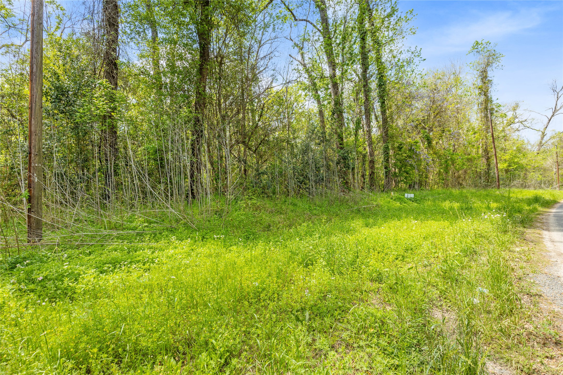 Tbd County Road 2859 Phantom Drive Property Photo 3