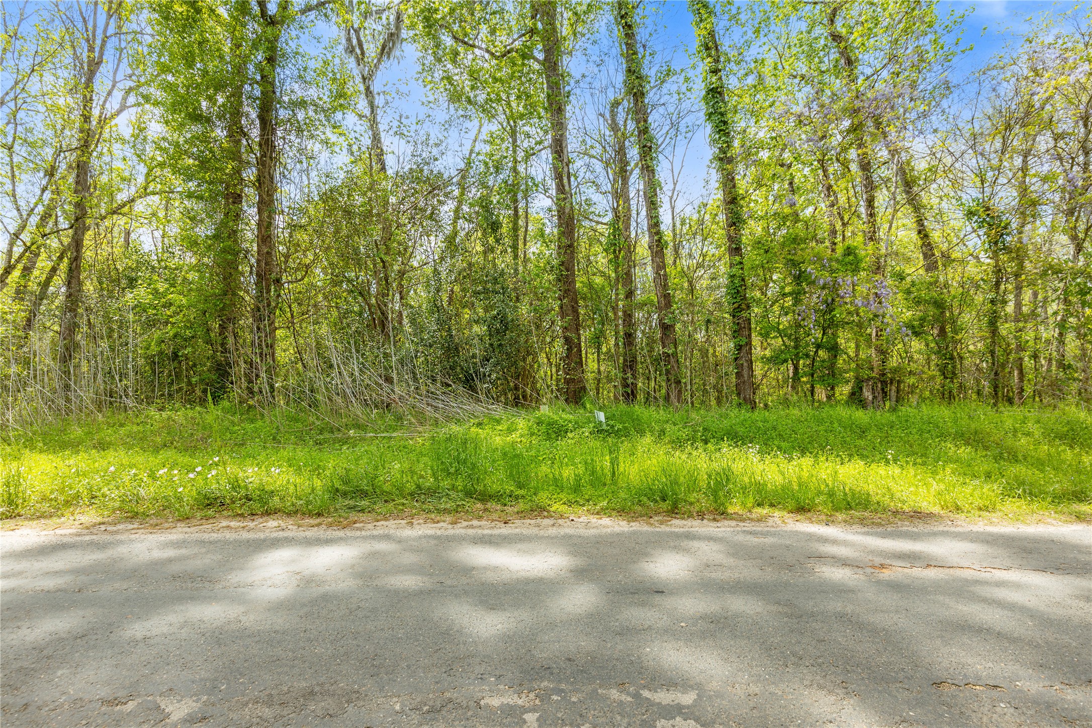 Tbd County Road 2859 Phantom Drive Property Photo 4
