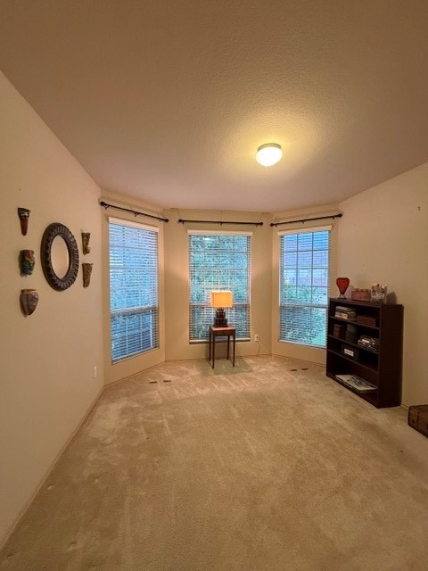 5406 Floral Valley Lane Property Photo 31