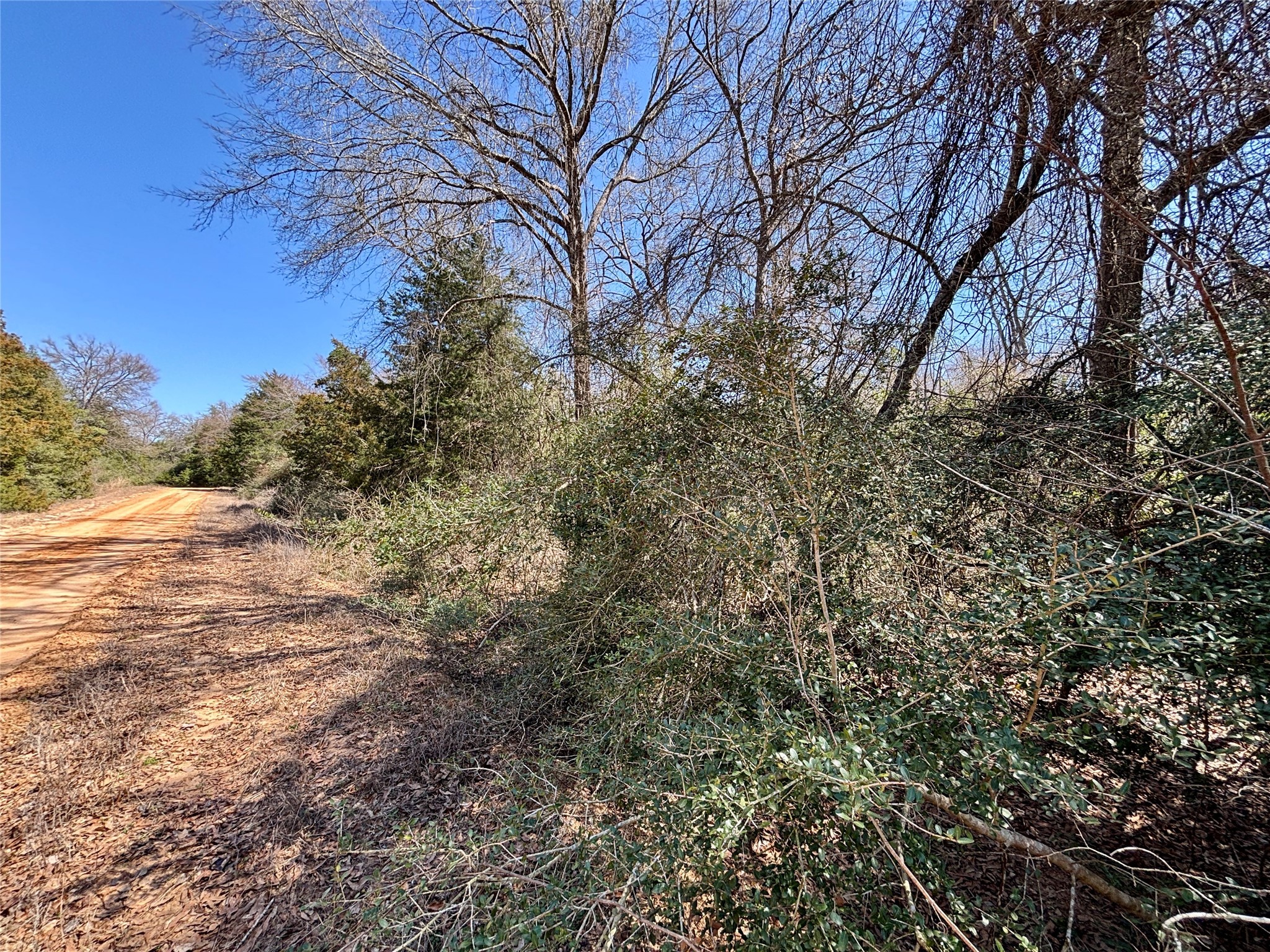 Tbd Burgandy Drive Property Photo