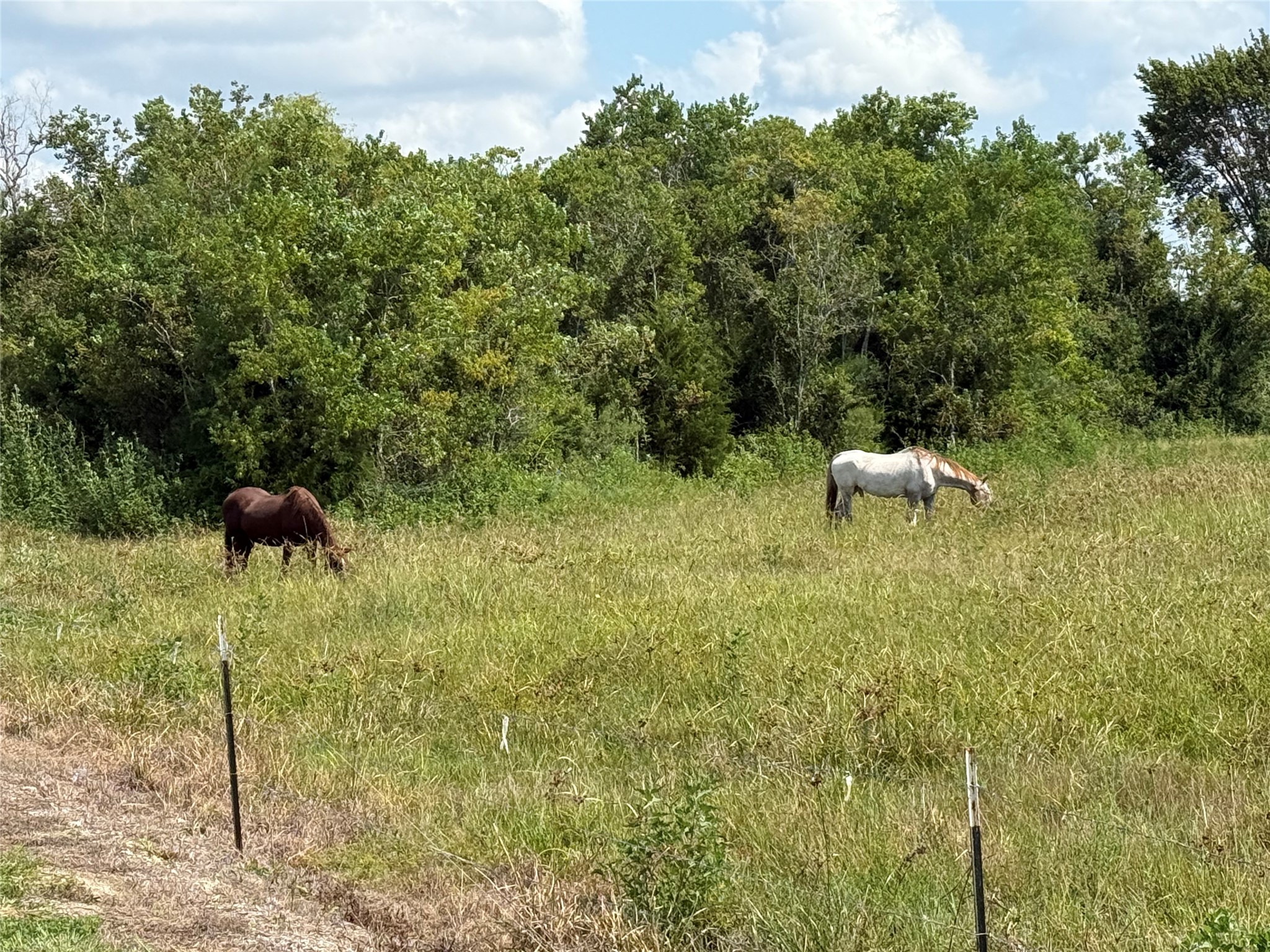 17310 Cowan Road Property Photo 6
