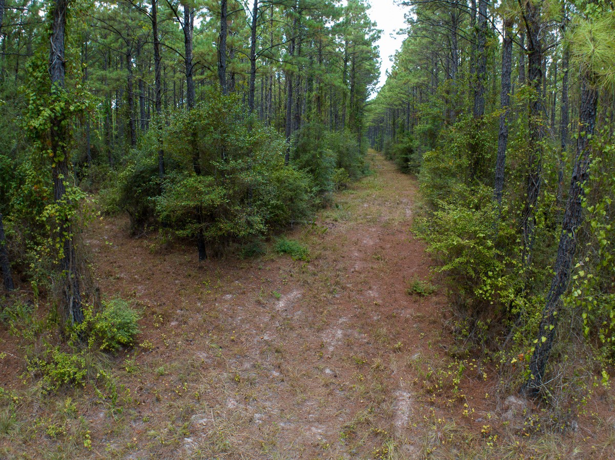 8330 Fm 355 Property Photo 9