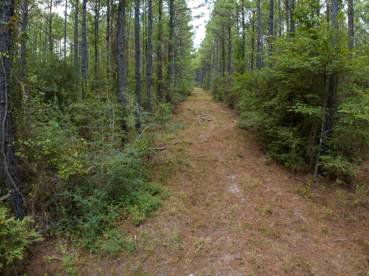 8330 Fm 355 Property Photo 10