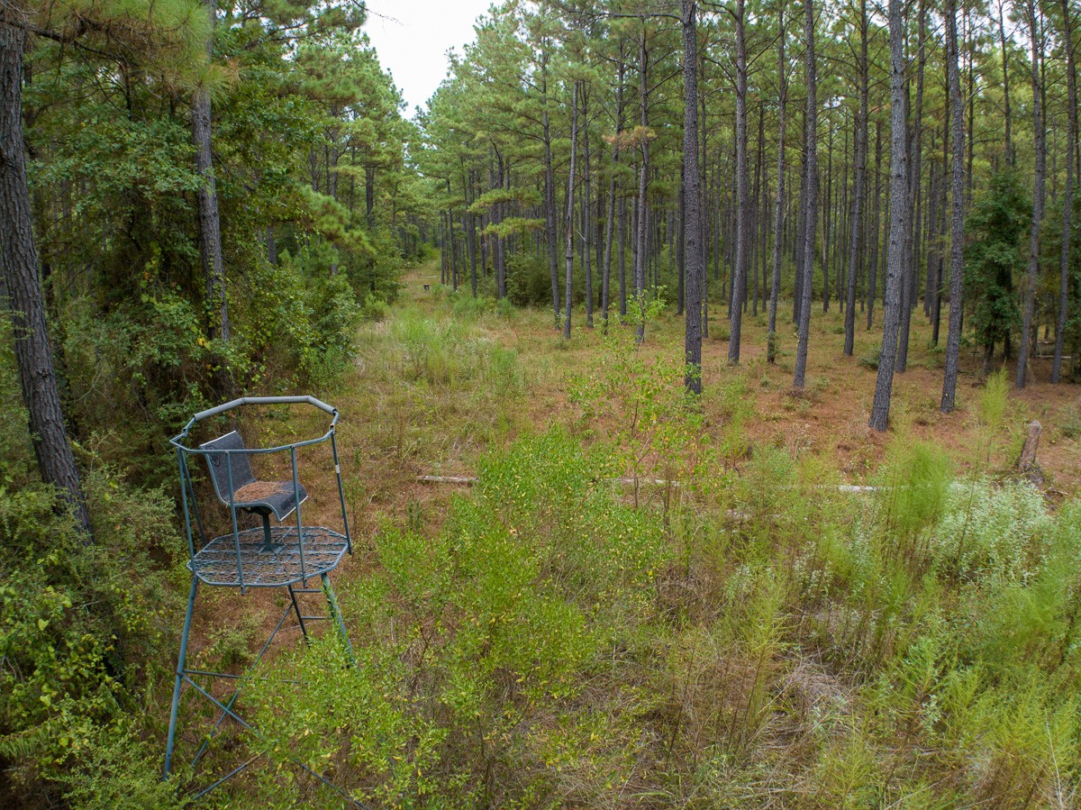 8330 Fm 355 Property Photo 17
