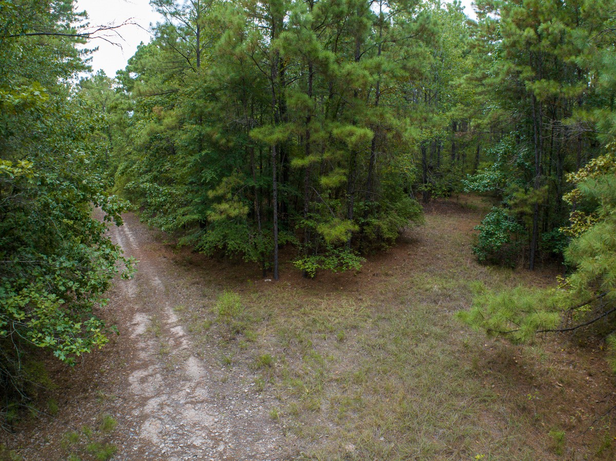 8330 Fm 355 Property Photo 19
