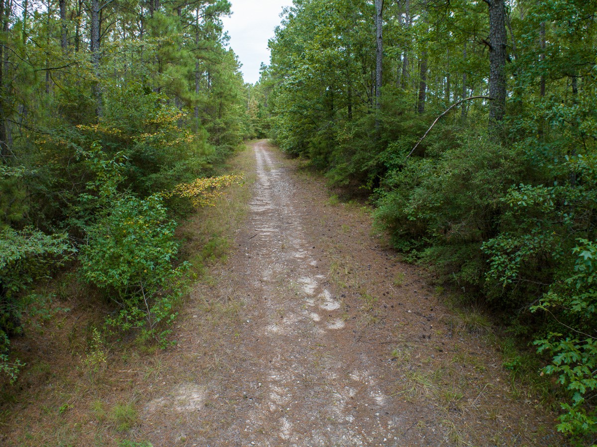 8330 Fm 355 Property Photo 20