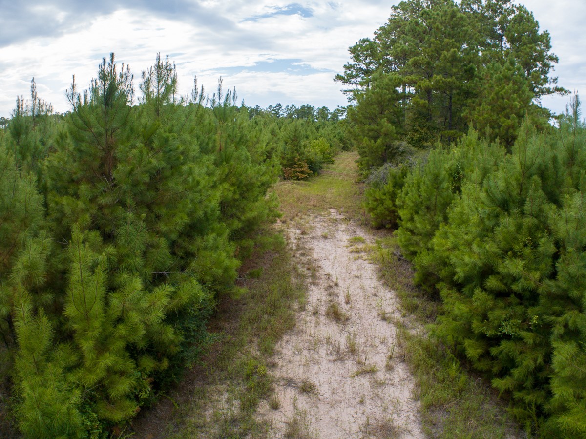 8330 Fm 355 Property Photo 24