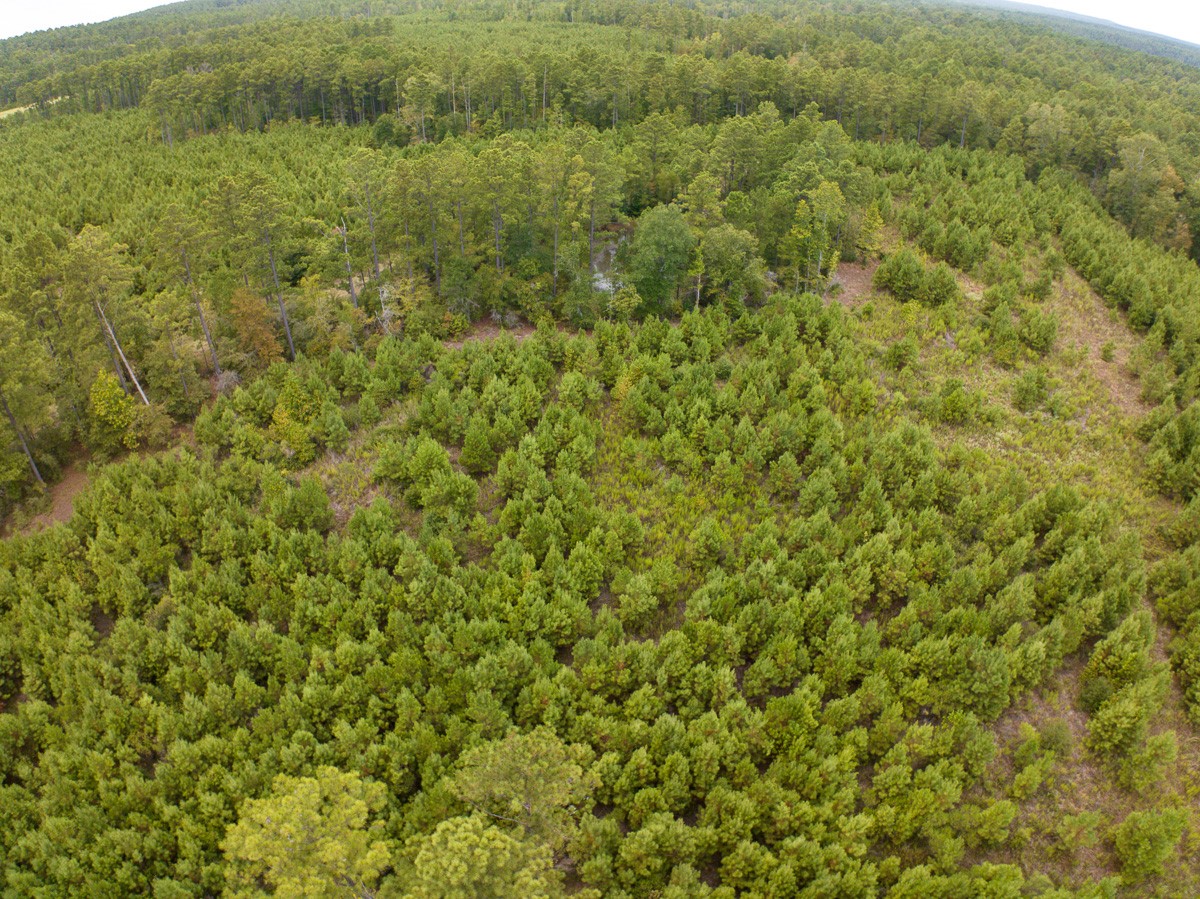 8330 Fm 355 Property Photo 28