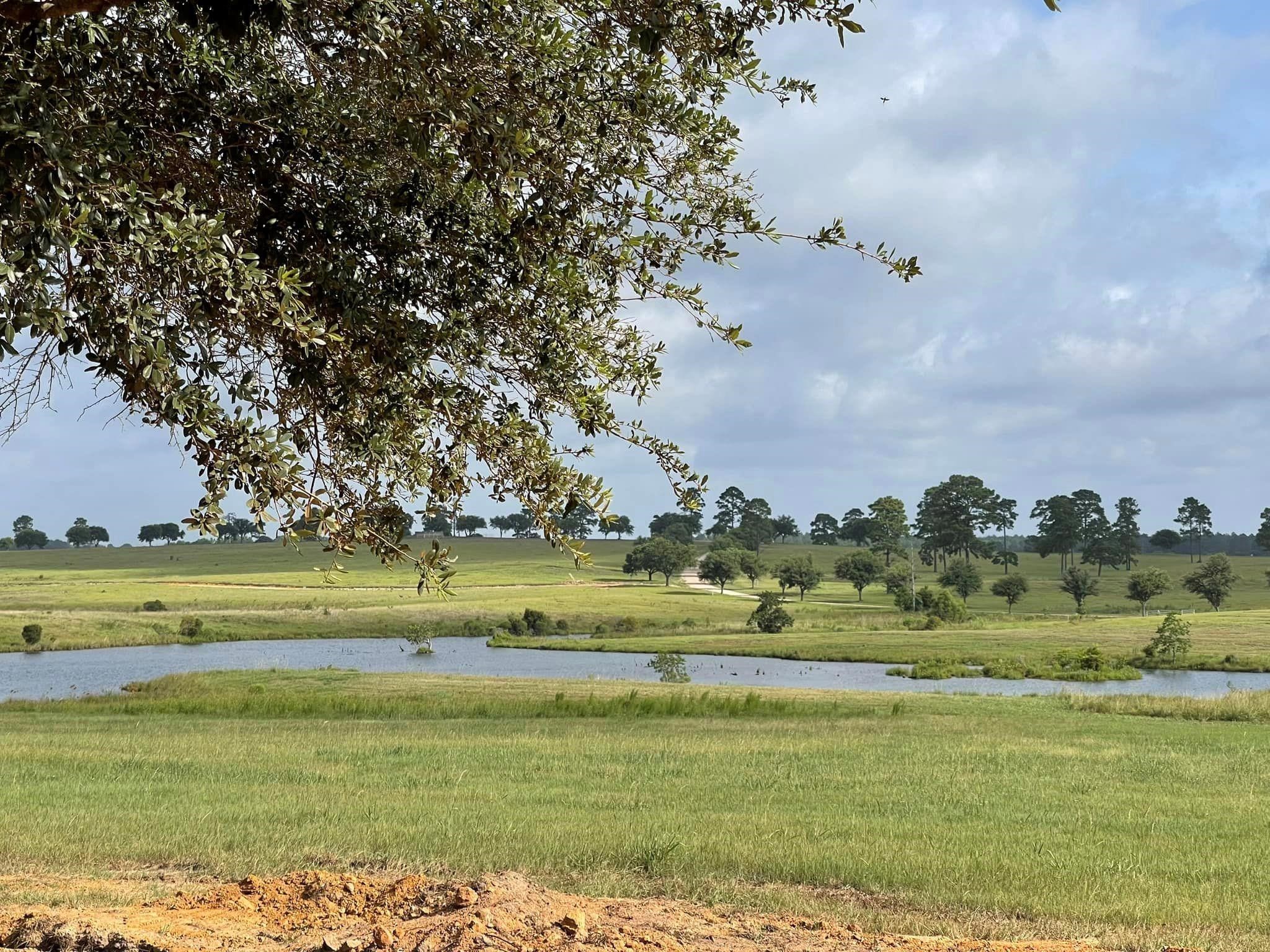 Lot 87 Lakeland Loop Property Photo 7