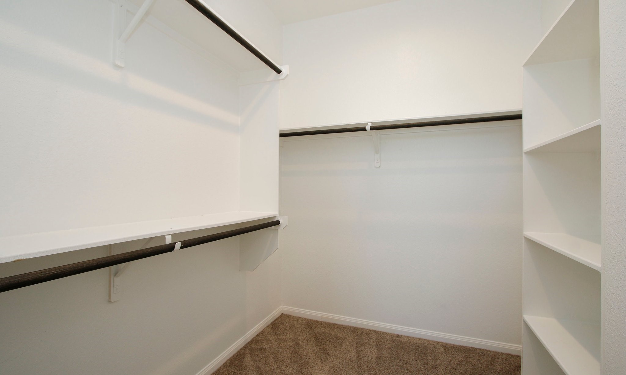 239 Biltmore Loop Property Photo 28