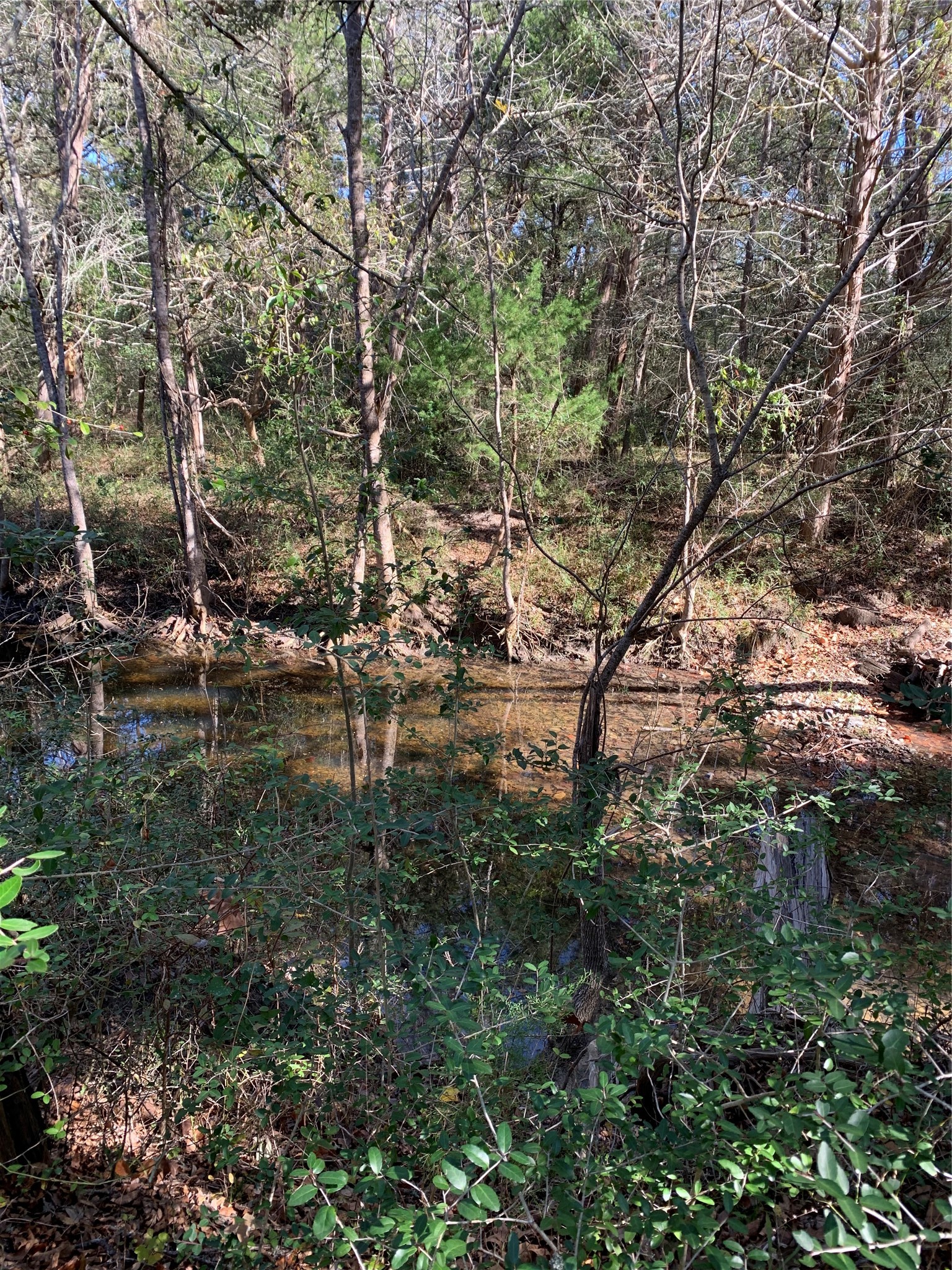 2551 Jurecka Road Property Photo 3