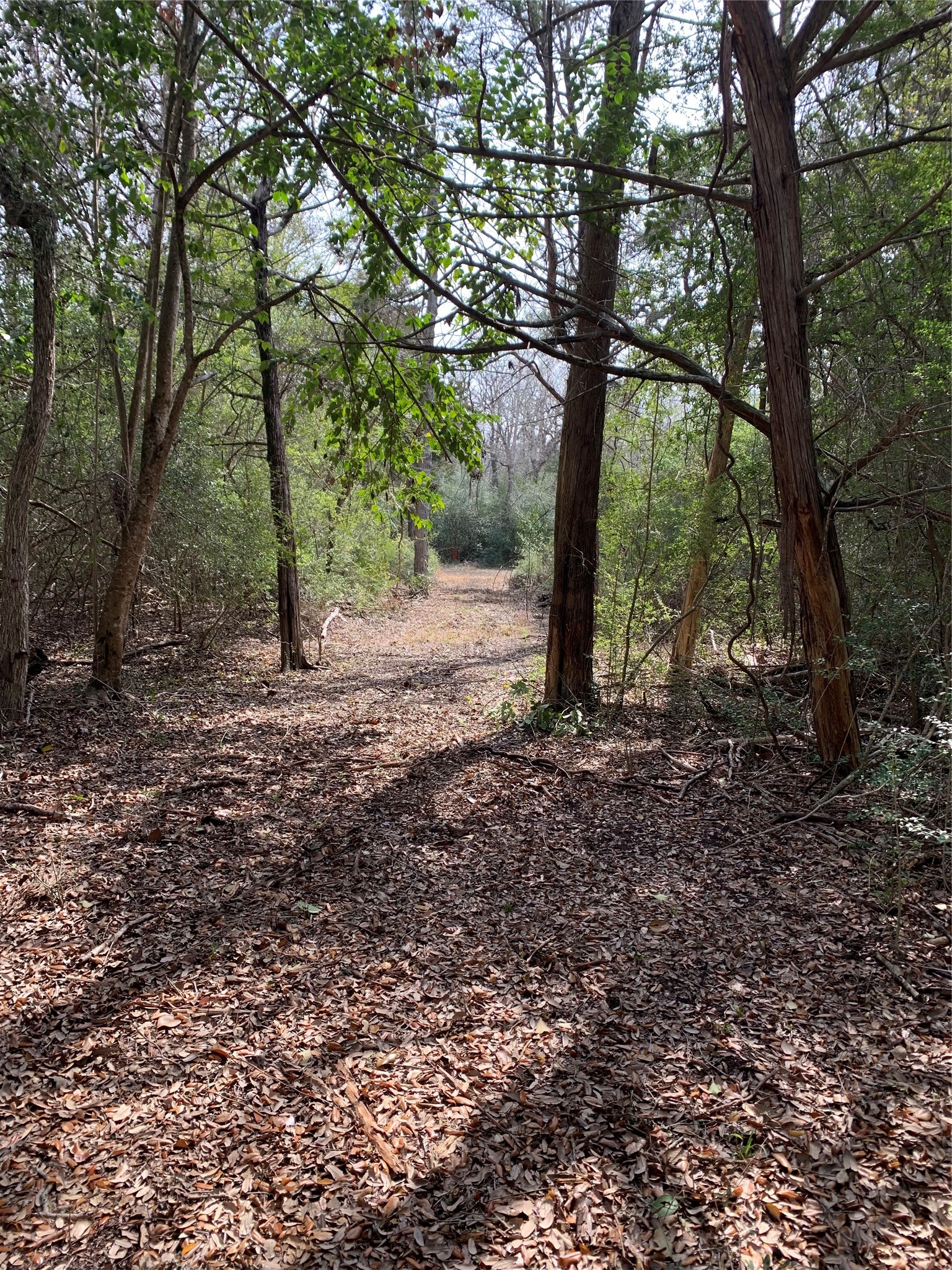 2551 Jurecka Road Property Photo 18