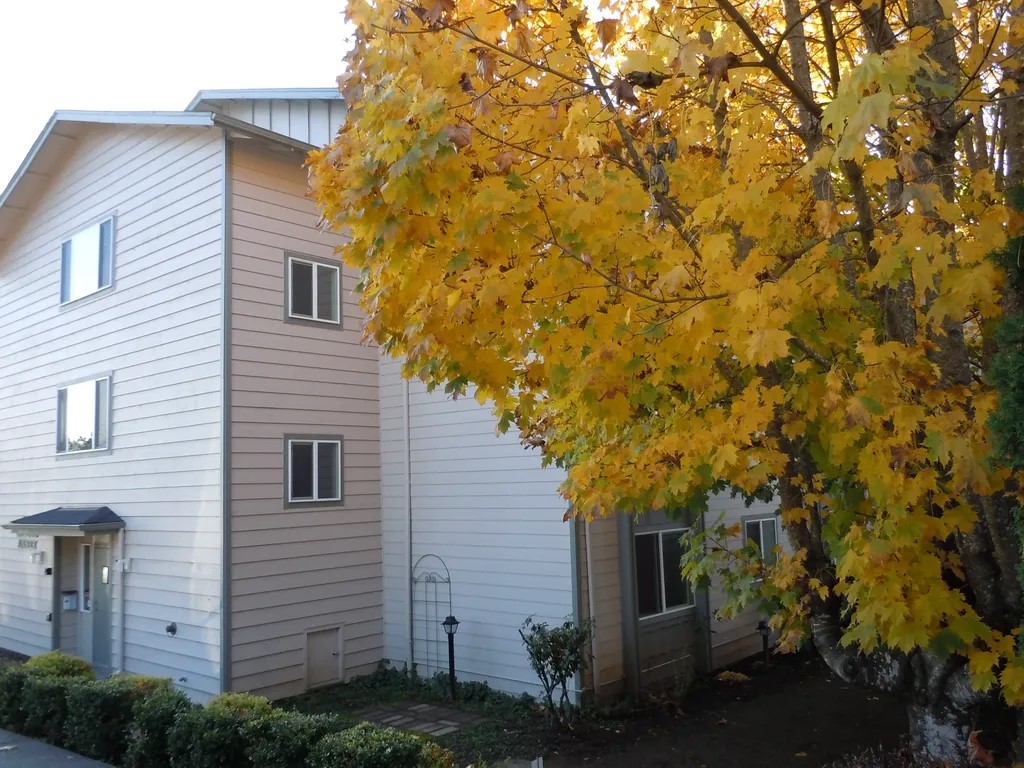 141 S River Street Property Photo 7