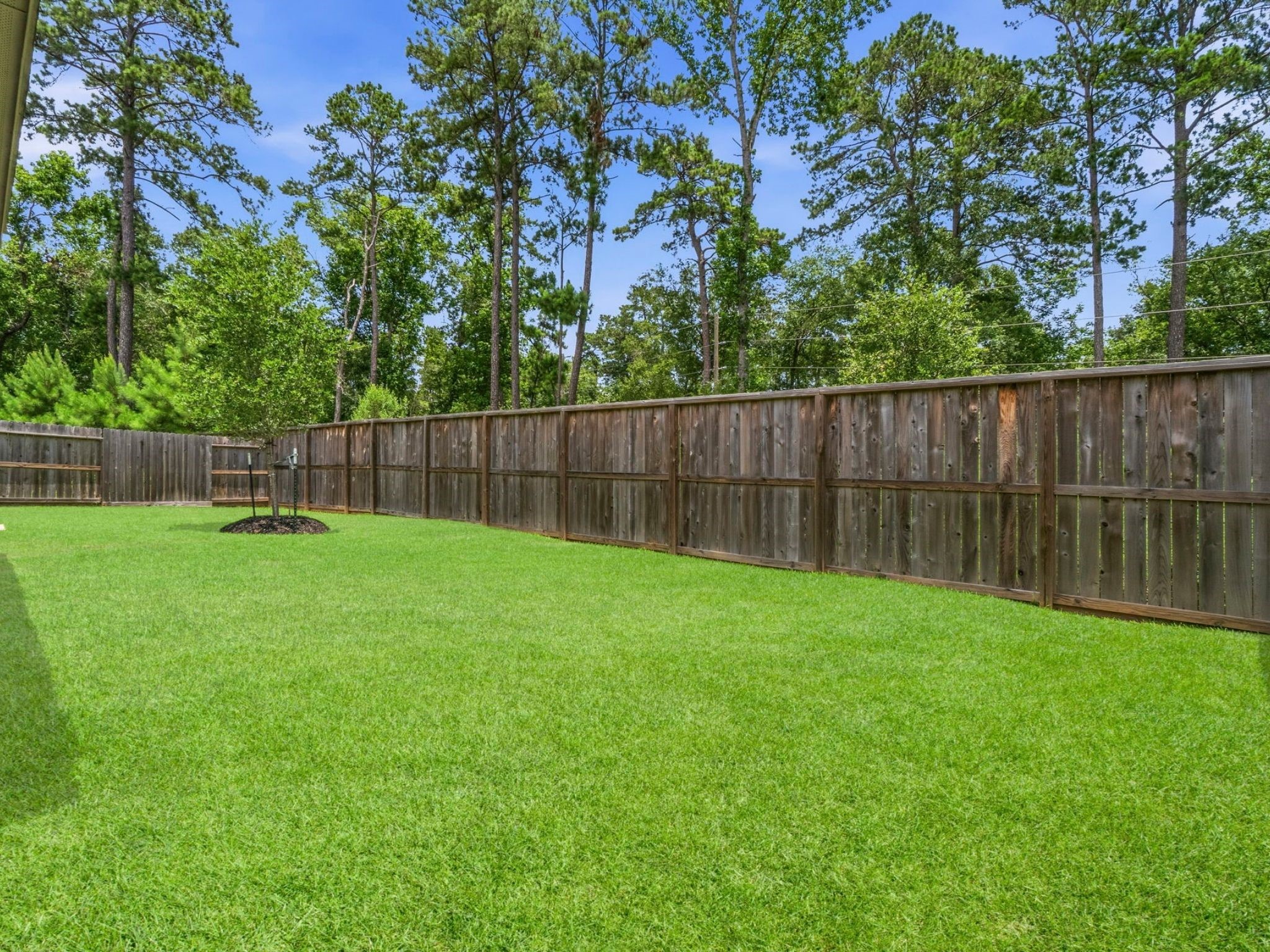 118 Violet Carson Court Property Photo 21