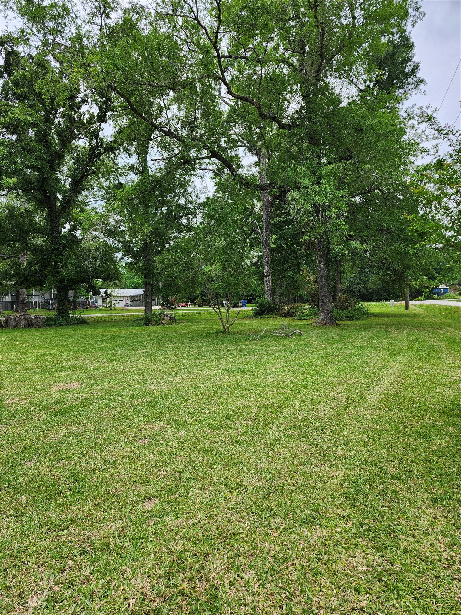23164 Albert Drive Property Photo 3