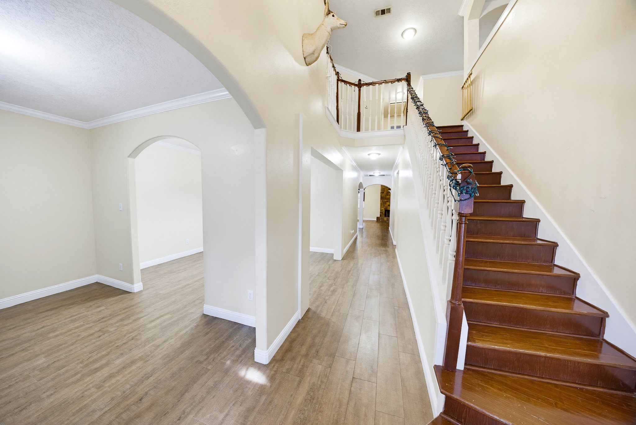 8117 Constellation Lane Property Photo 4
