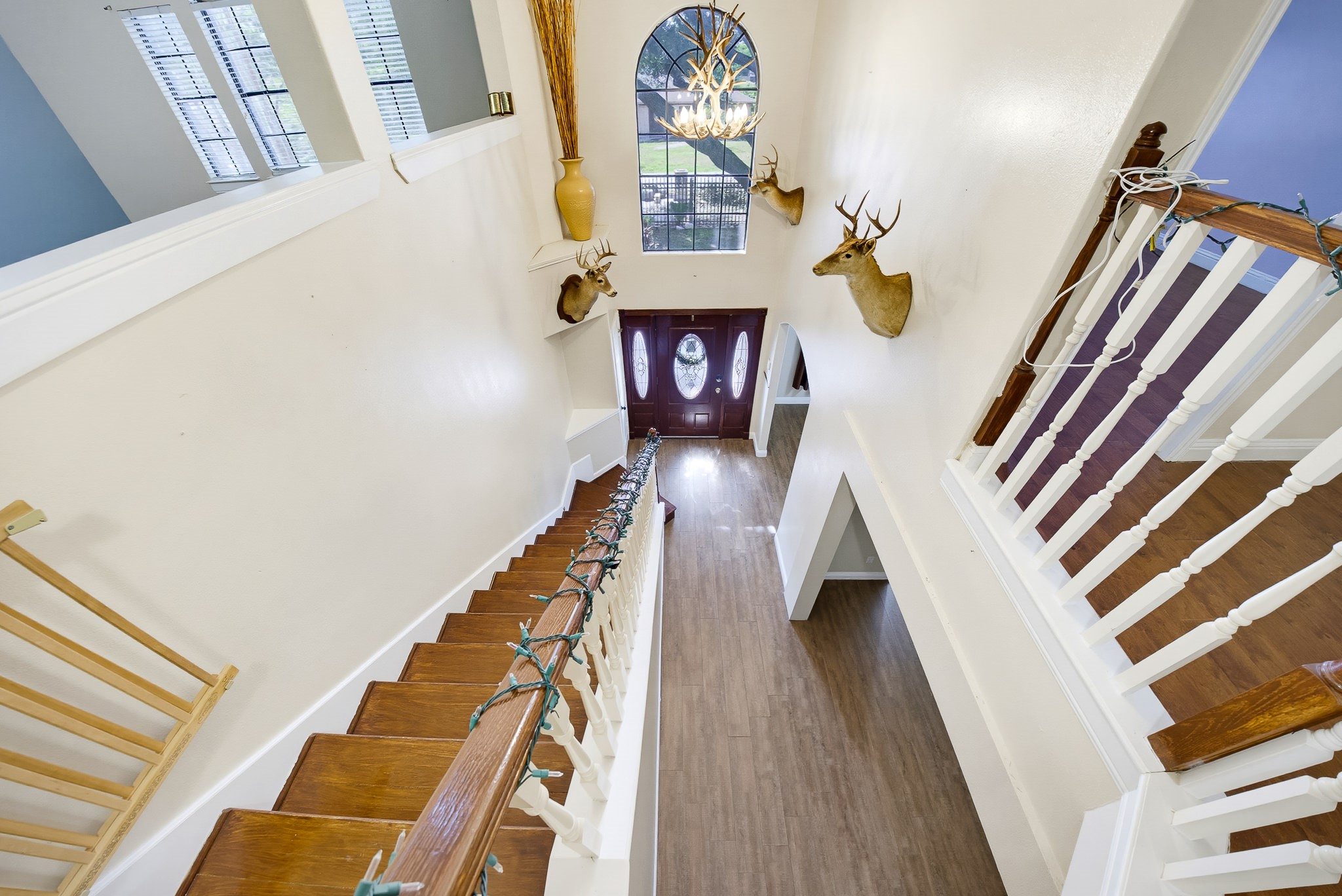 8117 Constellation Lane Property Photo 14