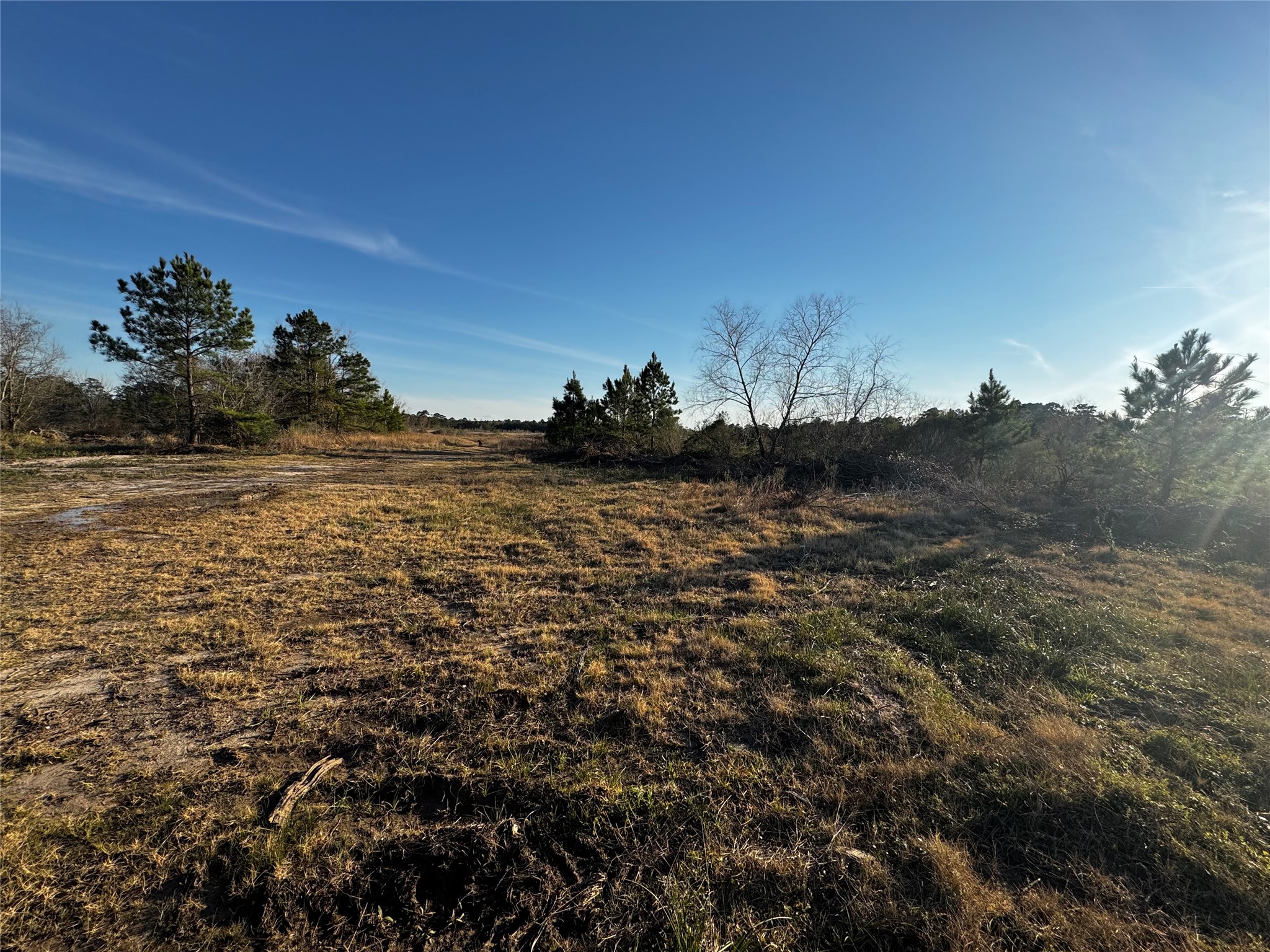 0 Moonshine Hill Road Property Photo 2