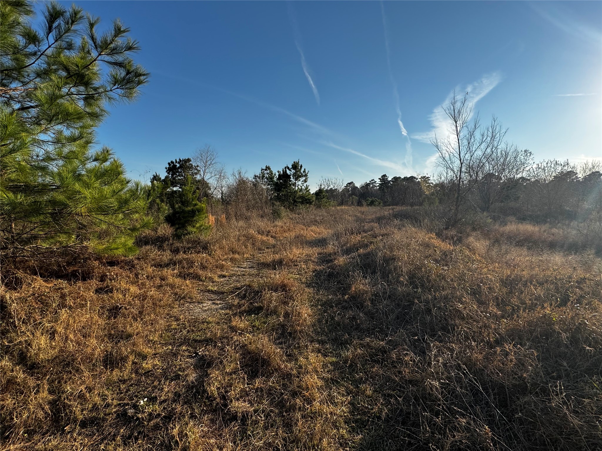 0 Moonshine Hill Road Property Photo 3