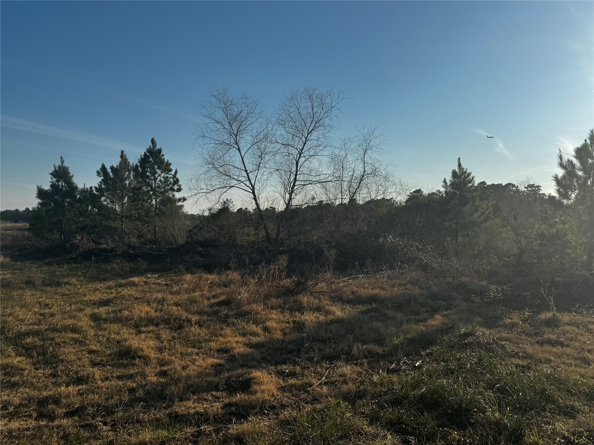 0 Moonshine Hill Road Property Photo 4