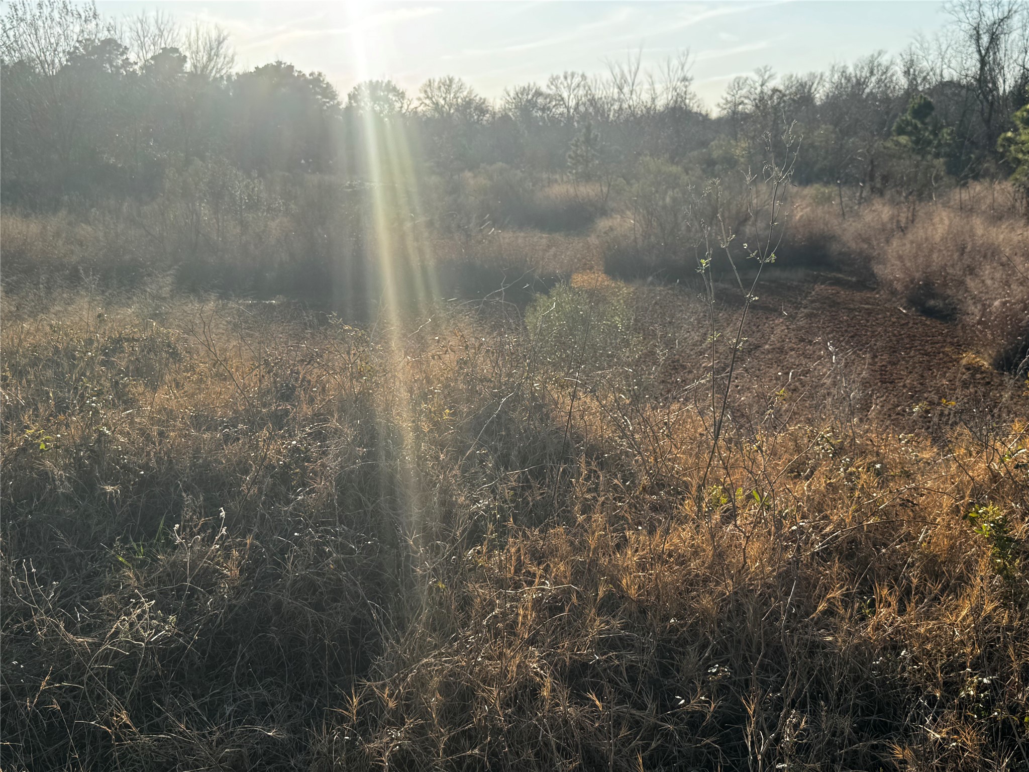 0 Moonshine Hill Road Property Photo 6