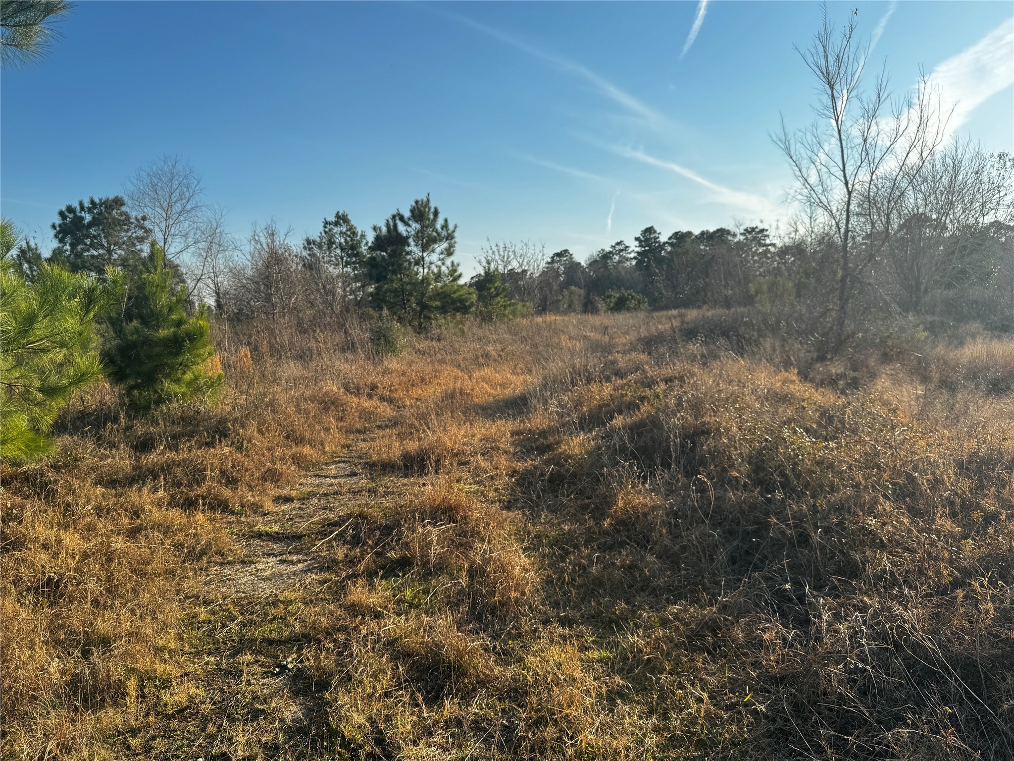 0 Moonshine Hill Road Property Photo 7