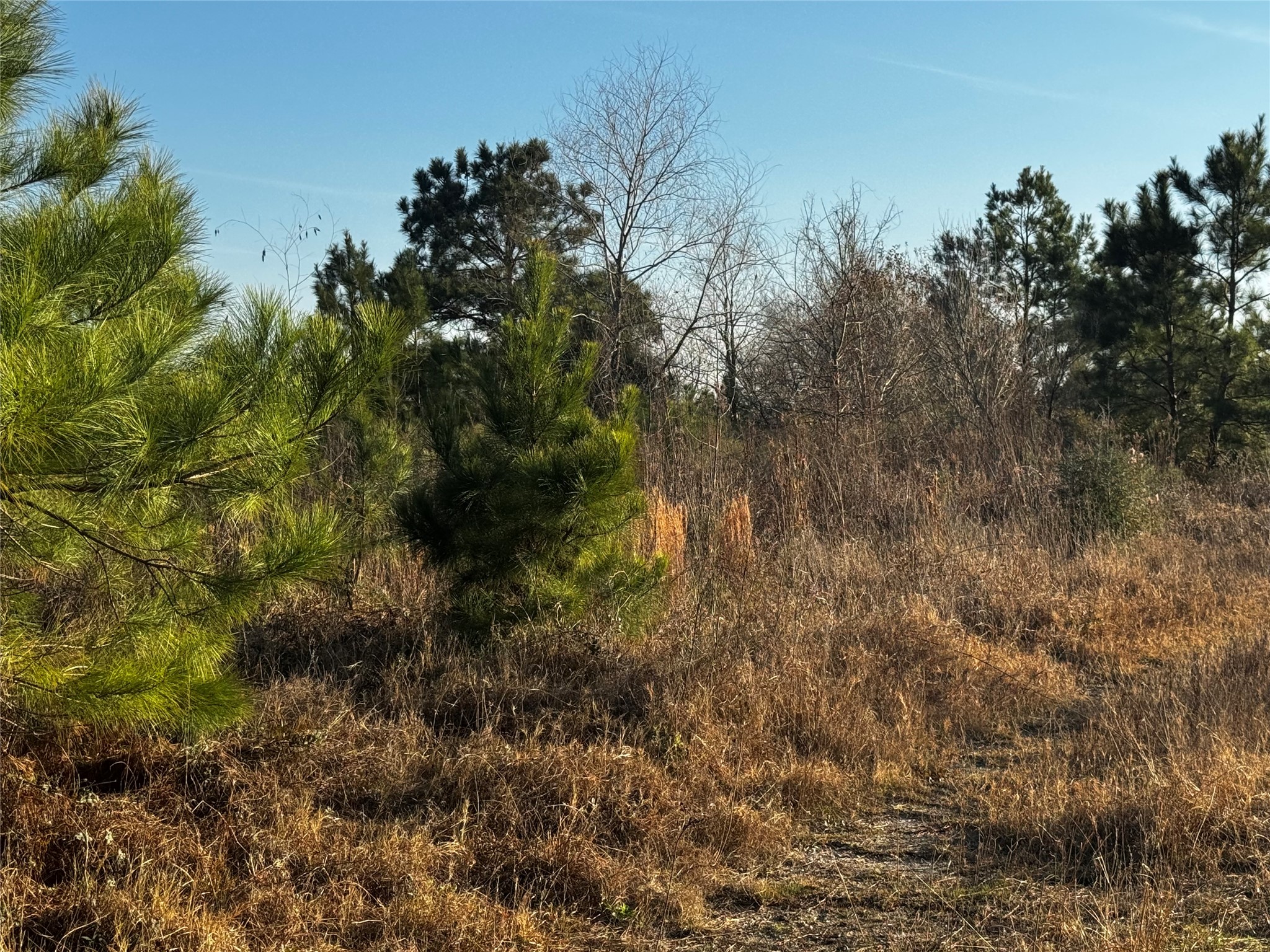 0 Moonshine Hill Road Property Photo 8