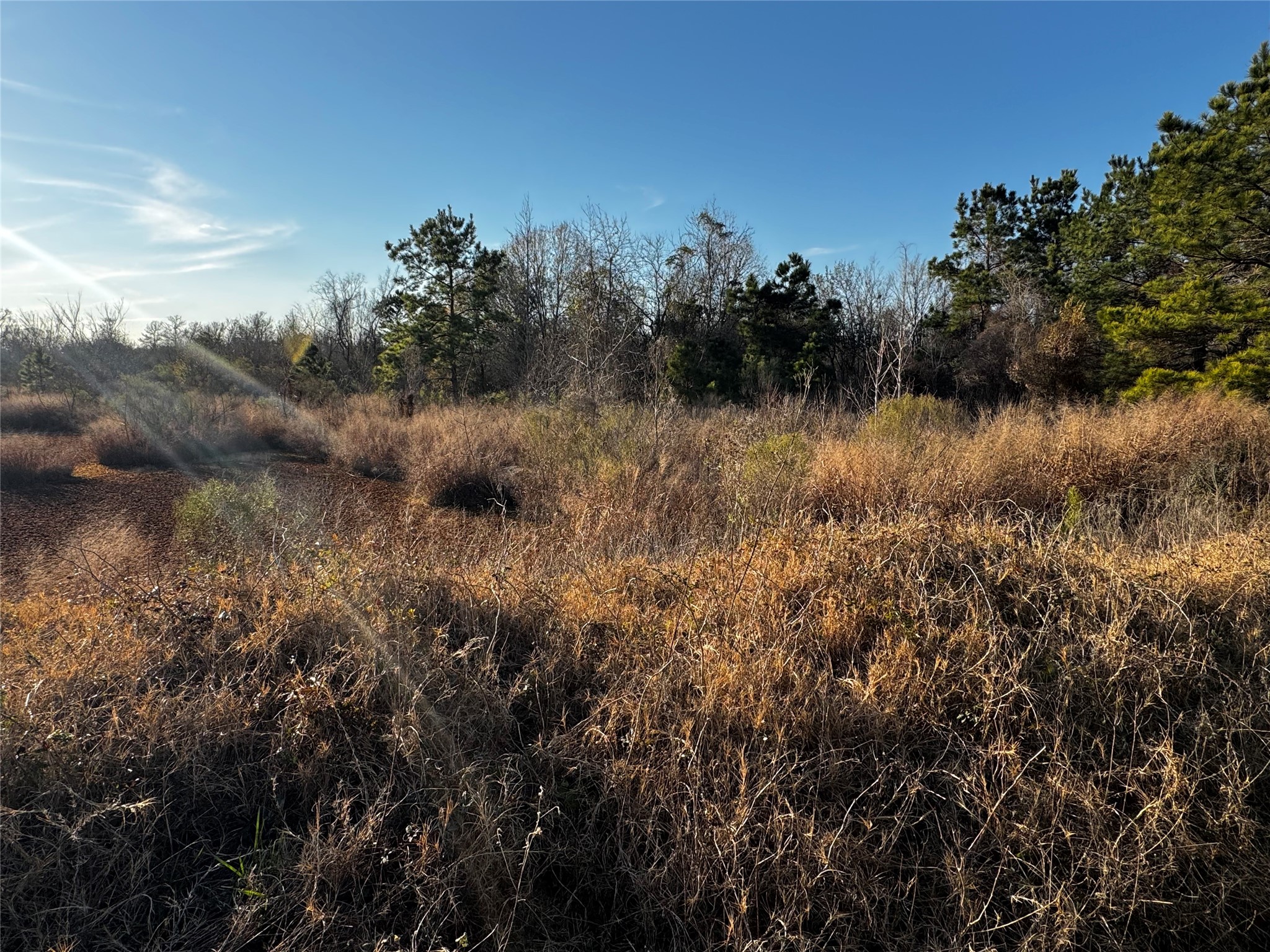0 Moonshine Hill Road Property Photo 10