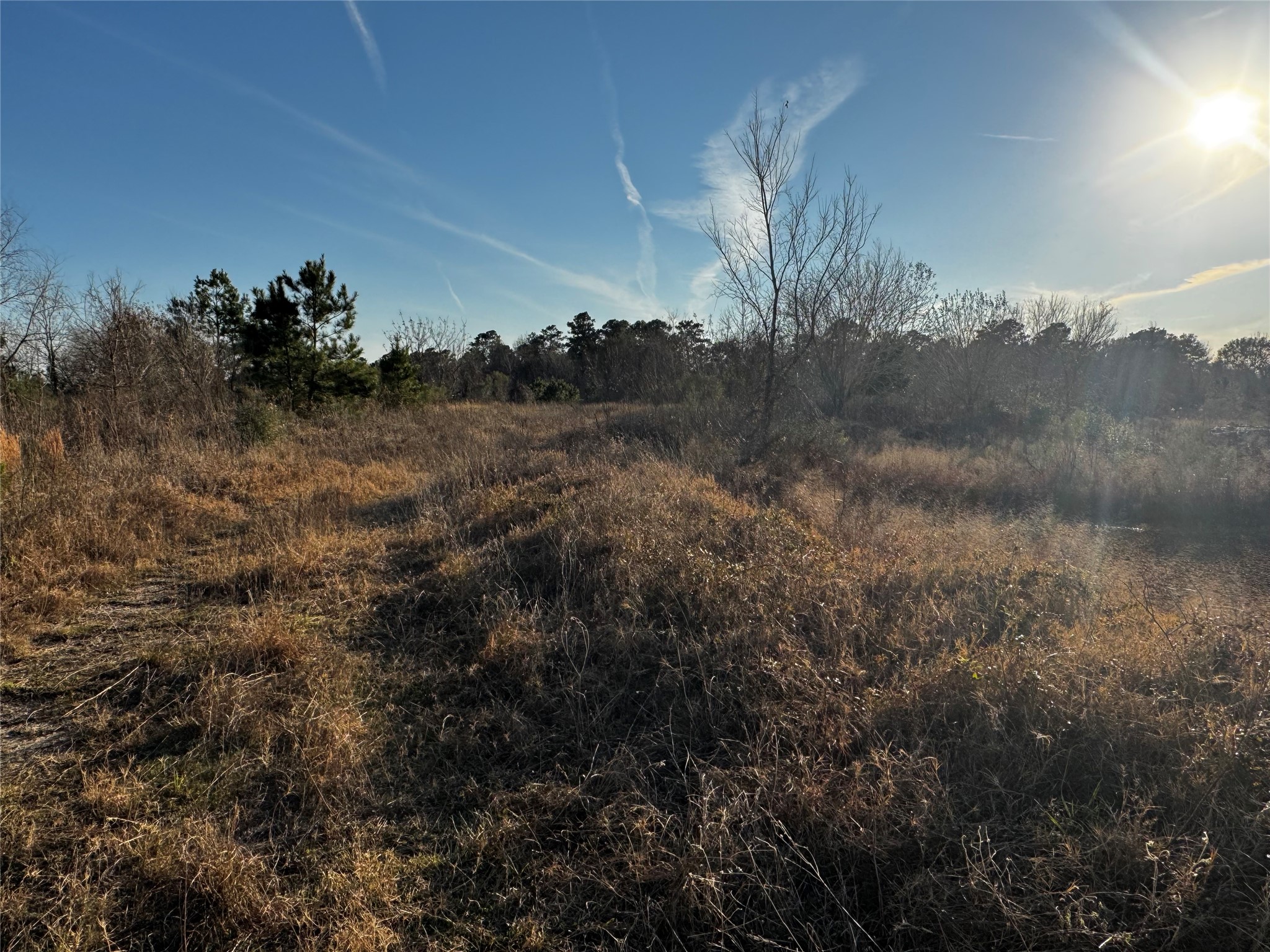 0 Moonshine Hill Road Property Photo 11